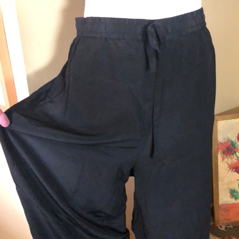 JOHNNY WAS Size XXL ILLARIA 100% Silk Pull-On Drawstring Elastic Waist $250 NEW - Picture 7 of 16